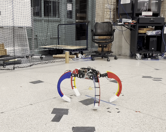 Self-Reconfigurable Quadruped from Scratch
